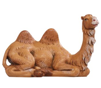 cammello per presepe